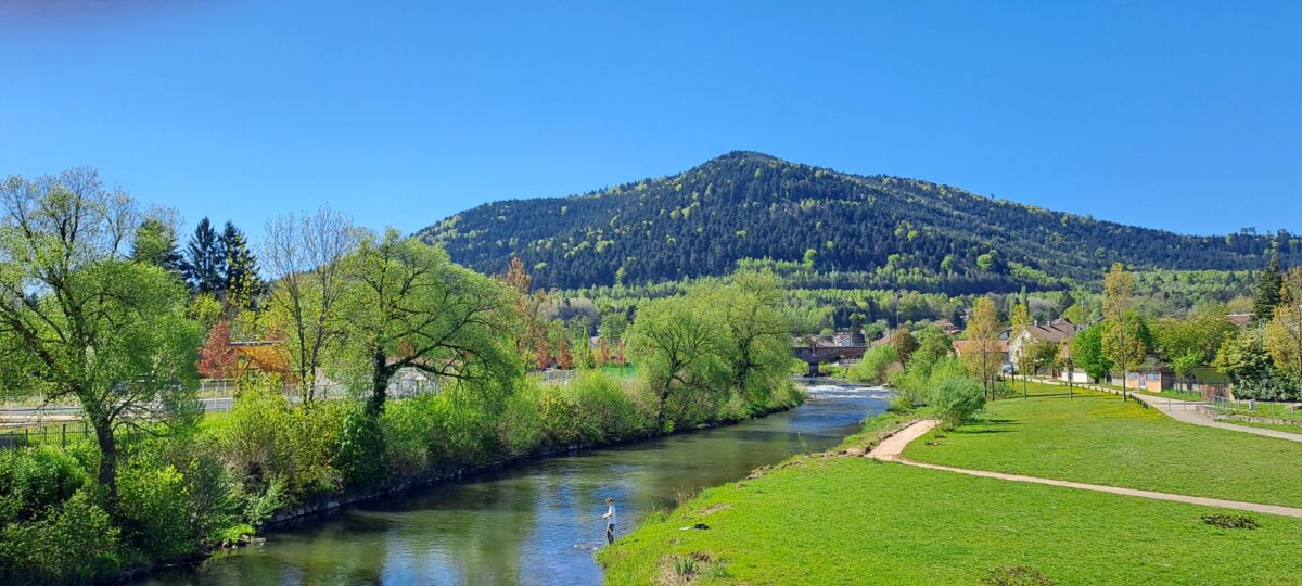 Pfalz – Vogesen (4)